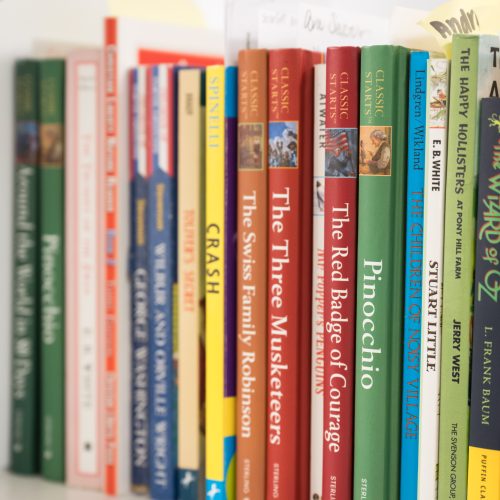 Chapter books
